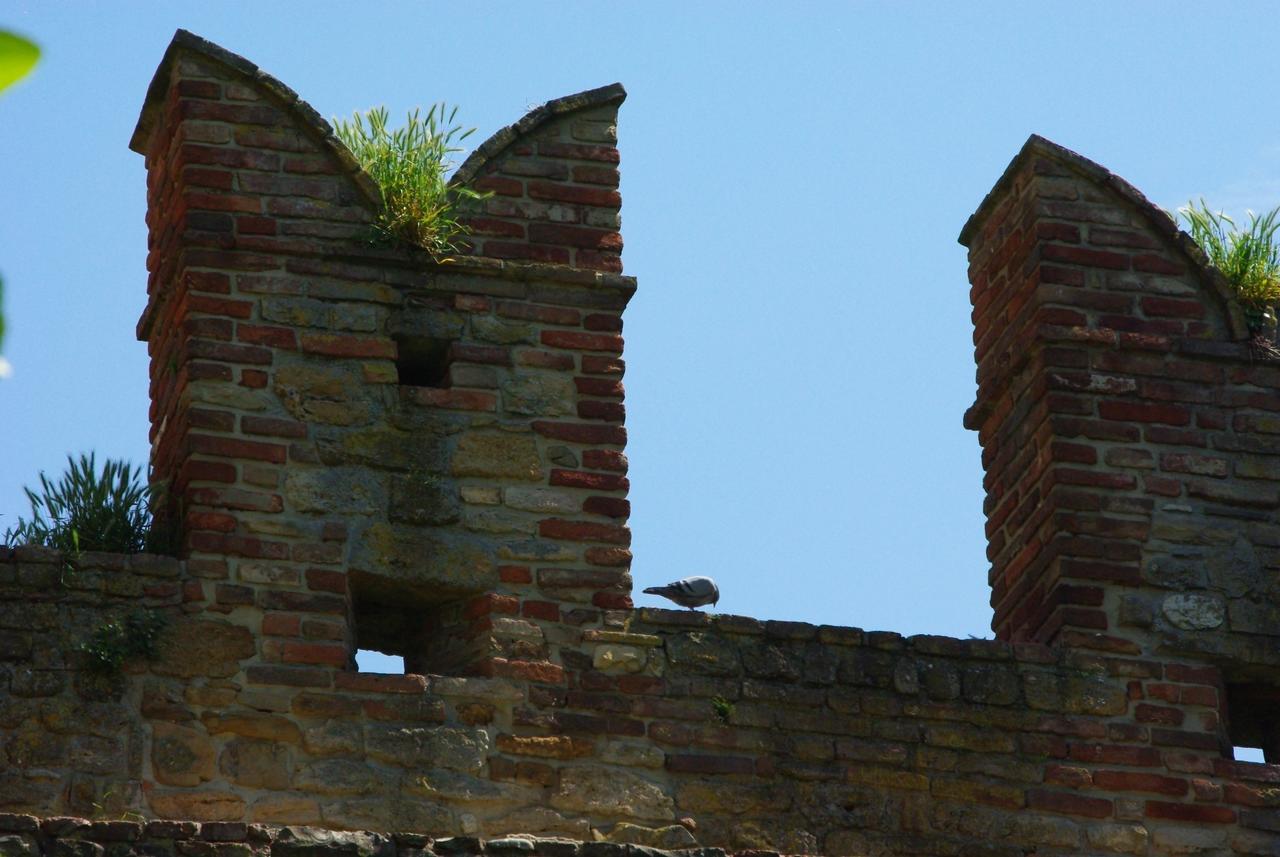 Villa Dircea CastellʼArquato Exterior foto